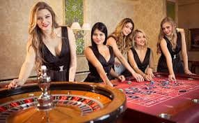 954bet